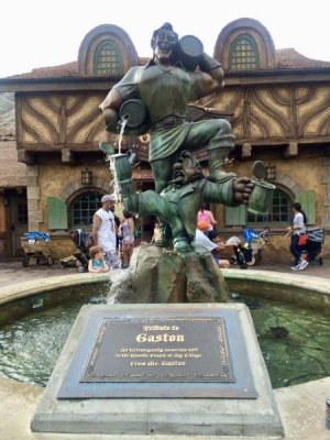 IMG_1247.jpeg