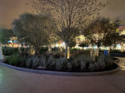 IMG_7804.JPG