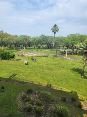view from room 1.jpg