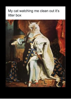 IMG_6114.jpeg