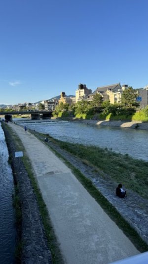 IMG_4736.jpeg