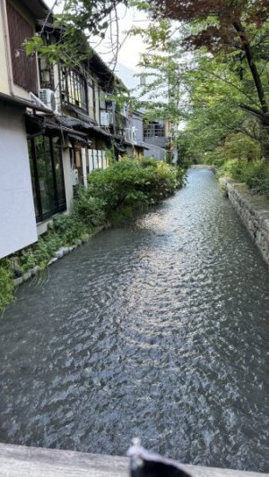 IMG_4737.jpeg