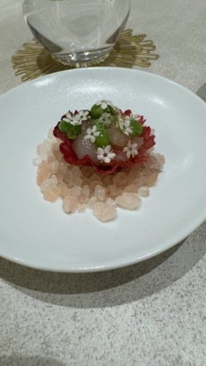 IMG_4789.jpeg