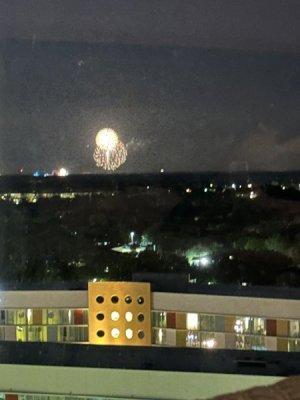 IMG_2237.jpeg