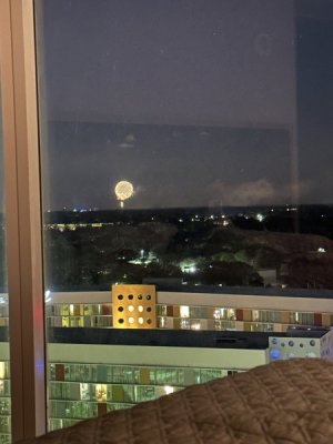 IMG_2230.jpeg