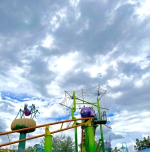 IMG_0102.jpeg