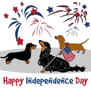 DOXIE4TH.jpg