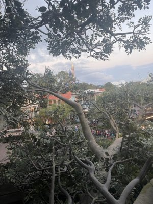 IMG_6416.jpeg