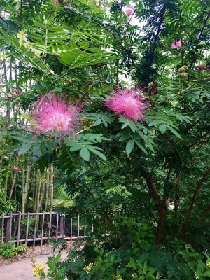 IMG_0375.jpeg