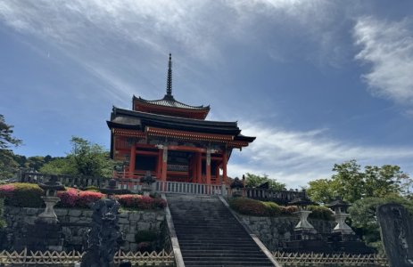 IMG_4871.jpeg