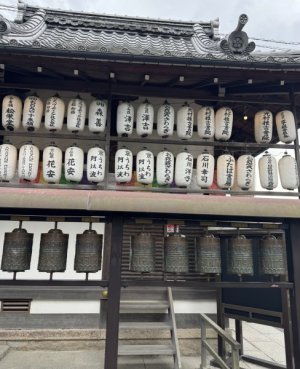 IMG_4915.jpeg