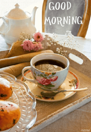 IMG_3828.gif