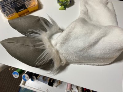 thumbnail_IMG_7809.jpg