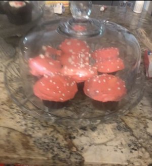 IMG_9759.jpeg