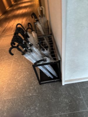 IMG_5004.jpeg