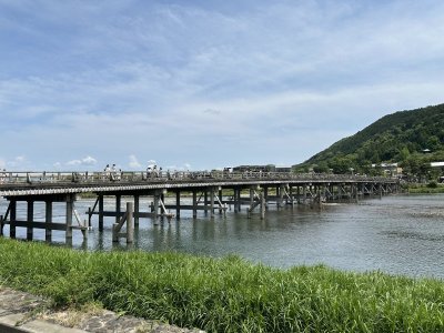 IMG_7137.jpeg