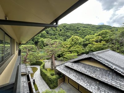 IMG_6985.jpeg