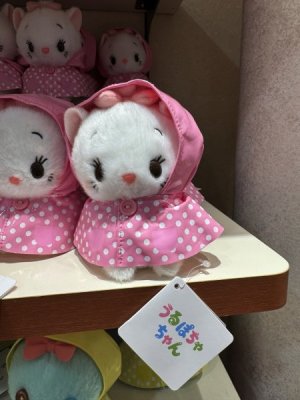 IMG_5013.jpeg