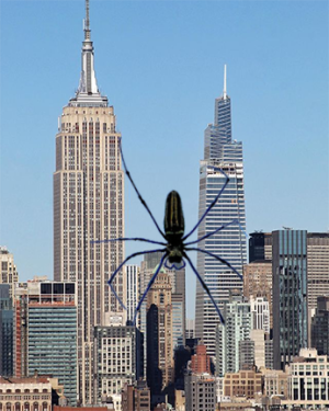 1720696056750.png