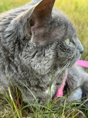 IMG_2185.jpeg