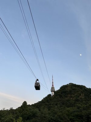 IMG_7341.jpeg