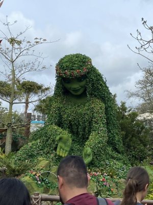 IMG_0518.jpeg