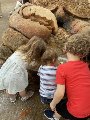 IMG_0524.jpeg