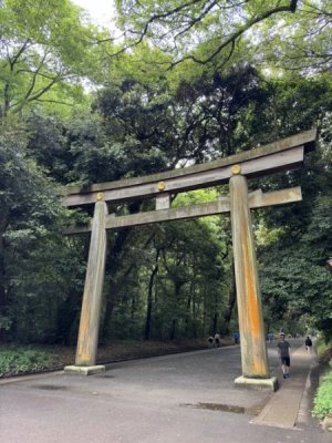 IMG_5137.jpeg