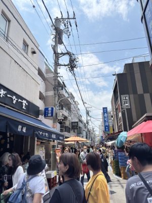 IMG_5153.jpeg