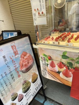 IMG_5165.jpeg