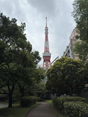 IMG_5178.jpeg
