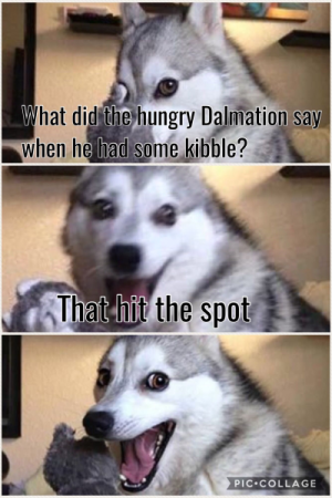 1720842070482.png