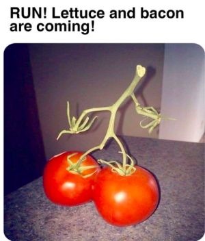 1720873823169.png
