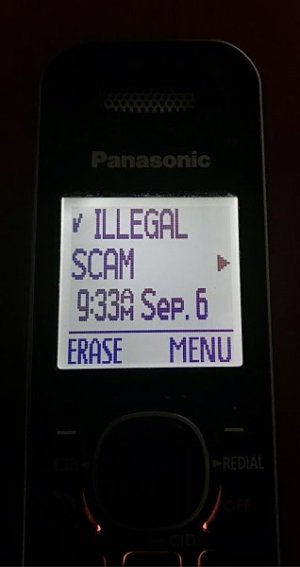 IMG_2994.jpeg