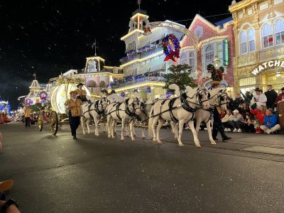 IMG_5808.jpg