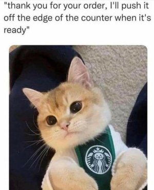 1000009734.jpg