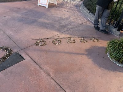 IMG_7933.JPG IMG_7933.JPG