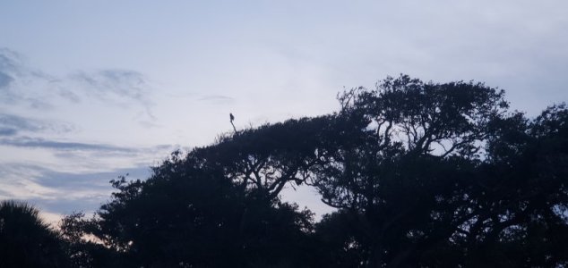 20240714_200357.jpg