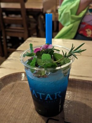 Avatar Way of Water drink Tokyo DisneySea.jpg