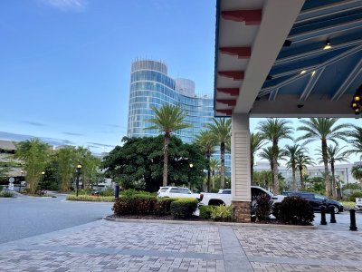 IMG_0178.jpeg