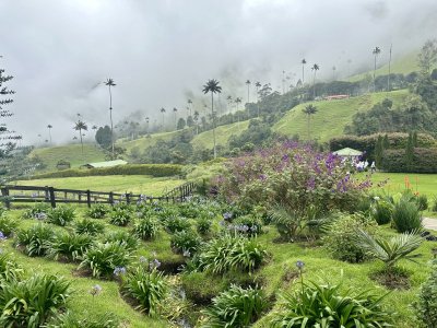IMG_4108.jpeg