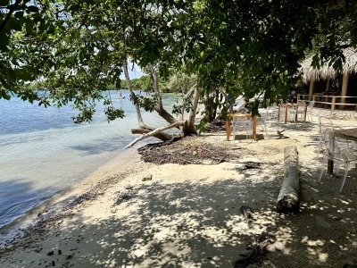 IMG_3360.jpeg