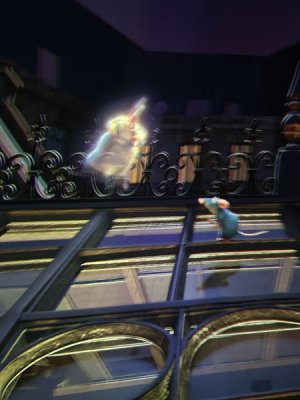 IMG_4363.JPEG