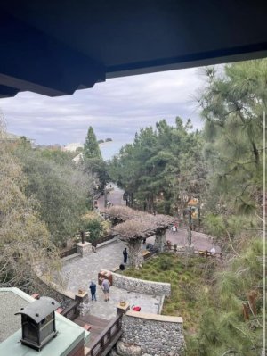 IMG_1884.jpeg