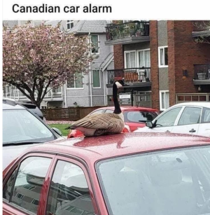 1721235966505.png