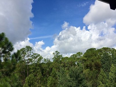 IMG_0593.jpeg