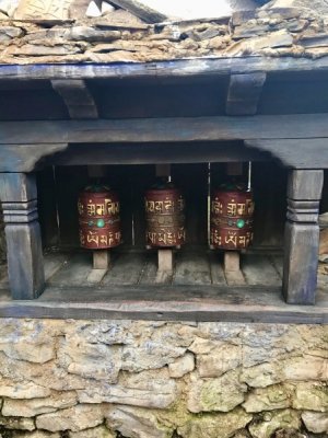 IMG_0476.jpeg