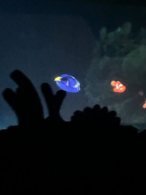 IMG_4402.JPEG