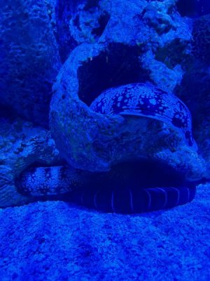 IMG_4422.JPEG