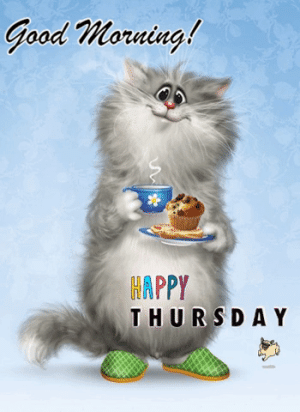 IMG_3879.gif
